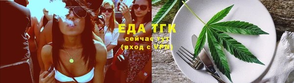 шишки Новодвинск