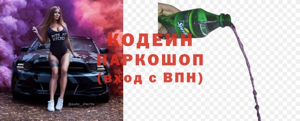 гидра Новозыбков