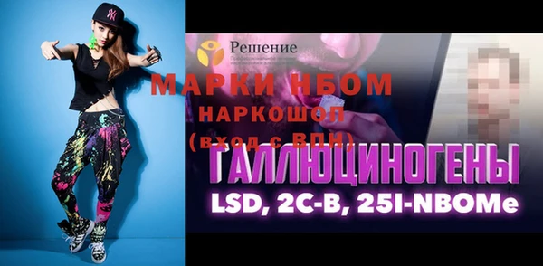 шишки Новодвинск