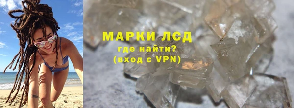 шишки Новодвинск