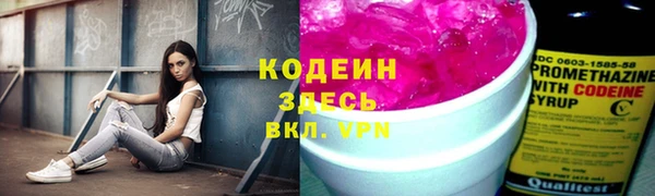 гидра Новозыбков