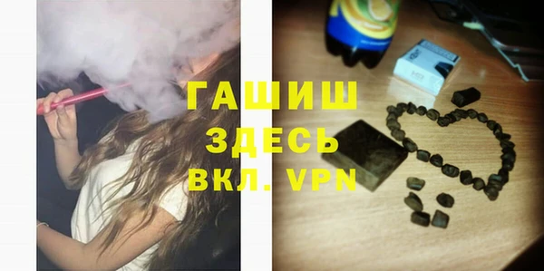 шишки Новодвинск