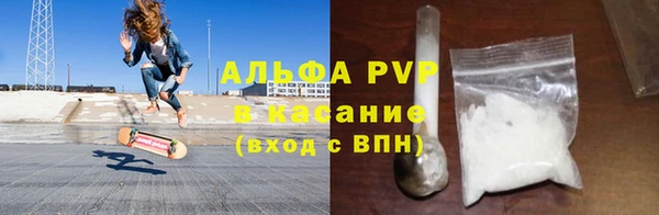 шишки Новодвинск