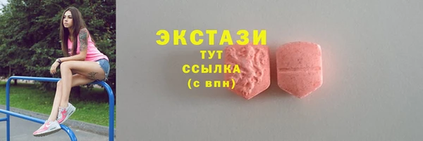 шишки Новодвинск