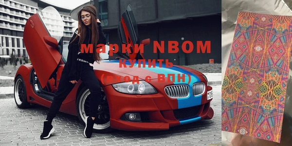 шишки Новодвинск