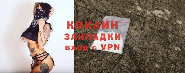 гидра Новозыбков