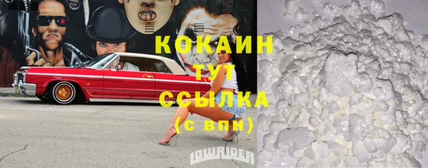 гидра Новозыбков
