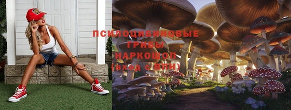 гидра Новозыбков