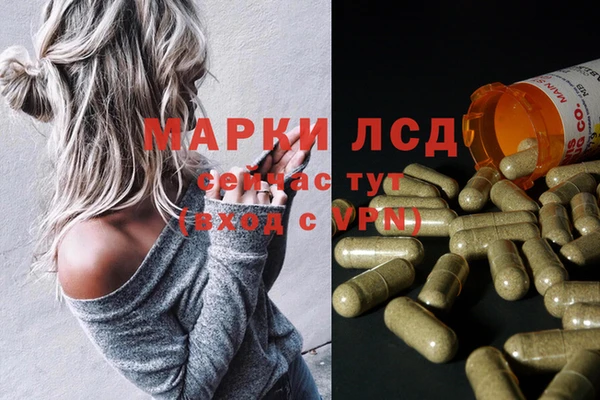 шишки Новодвинск
