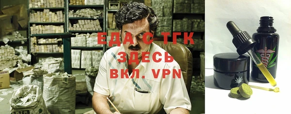 шишки Новодвинск