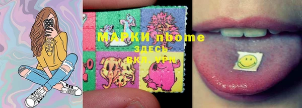 шишки Новодвинск