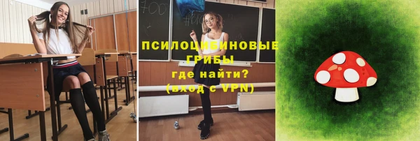 гидра Новозыбков