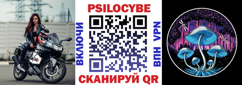 Псилоцибиновые грибы Psilocybe  Полевской 